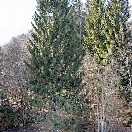 Lägenhet Kessler *